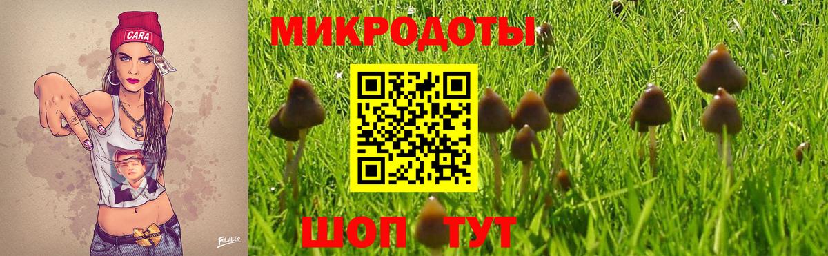 Павловский Посад  Псилоцибиновые грибы мухоморы  Вход с VPN 